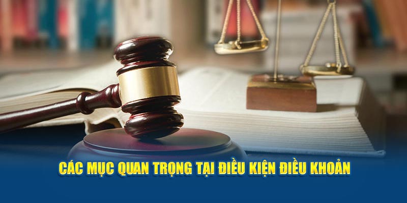 Các mục quan trọng tại điều kiện điều khoản
