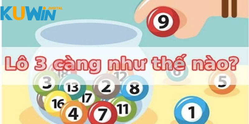 Lô 3 càng